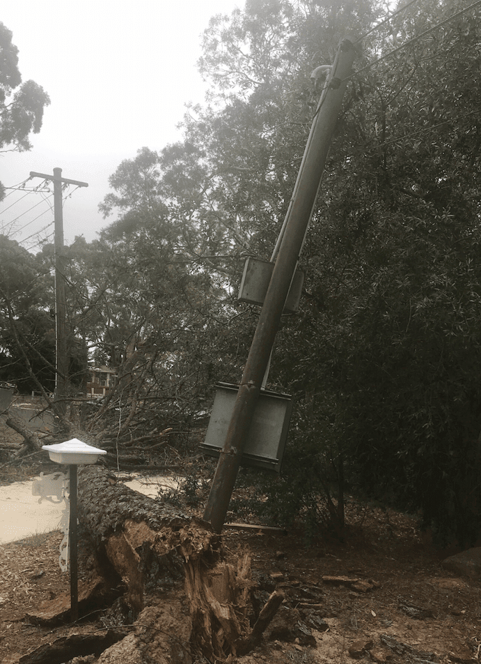 fallen-tree-on-power-pole