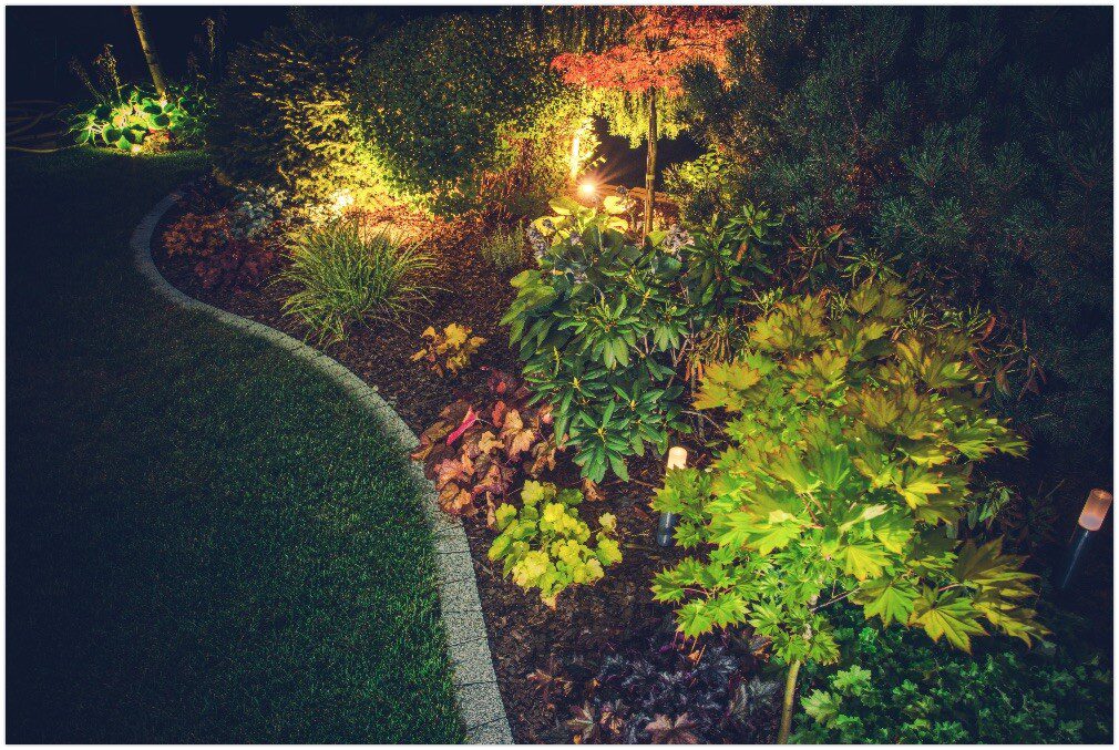 Illuminated Backyard Garden